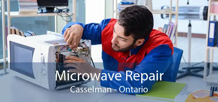 Microwave Repair Casselman - Ontario