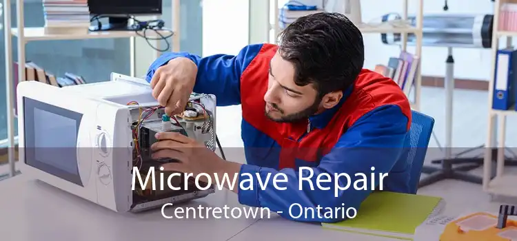 Microwave Repair Centretown - Ontario