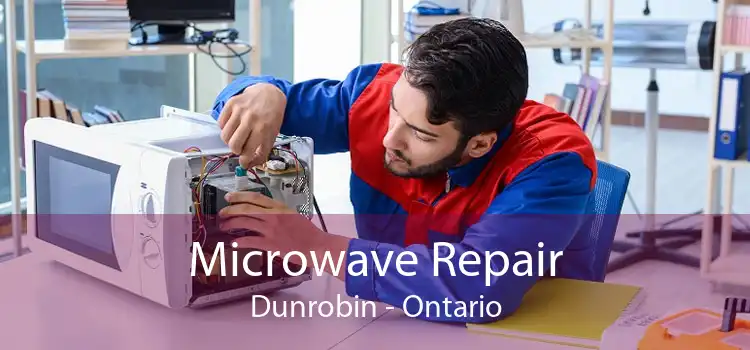 Microwave Repair Dunrobin - Ontario
