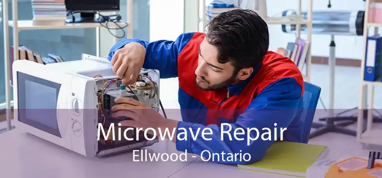 Microwave Repair Ellwood - Ontario