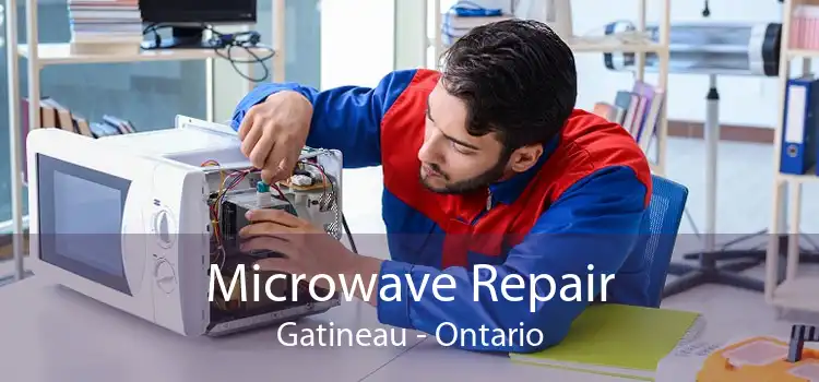 Microwave Repair Gatineau - Ontario