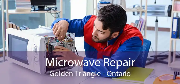 Microwave Repair Golden Triangle - Ontario