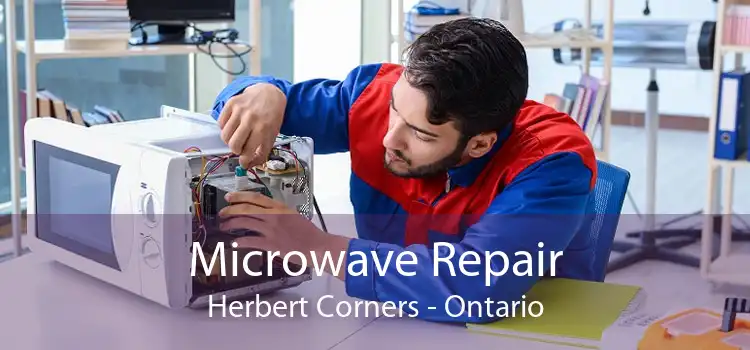 Microwave Repair Herbert Corners - Ontario