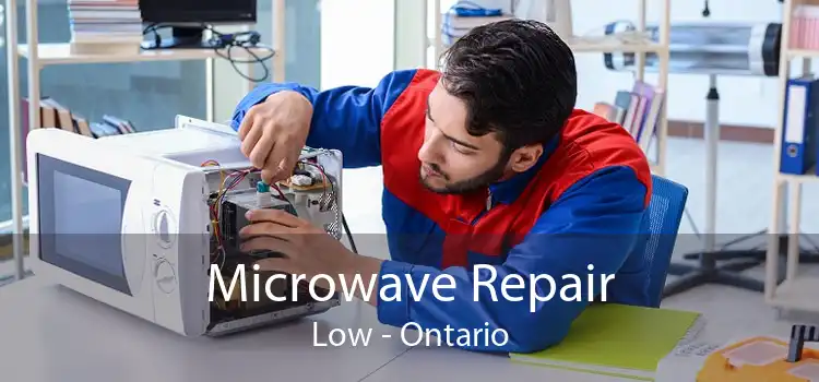Microwave Repair Low - Ontario