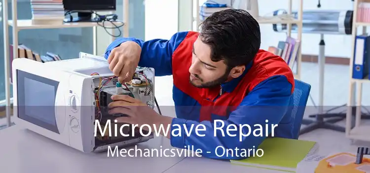 Microwave Repair Mechanicsville - Ontario