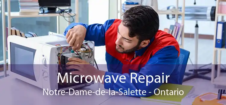 Microwave Repair Notre-Dame-de-la-Salette - Ontario