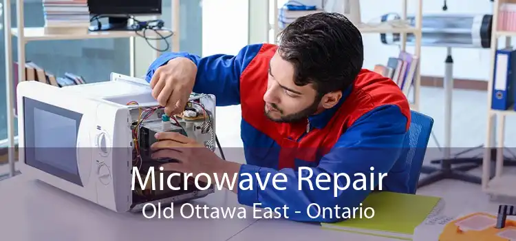 Microwave Repair Old Ottawa East - Ontario