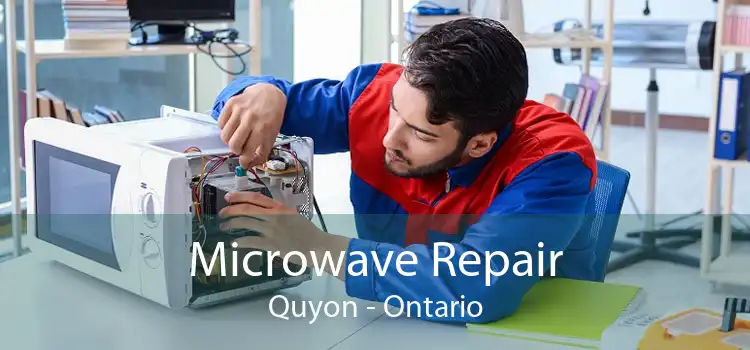 Microwave Repair Quyon - Ontario