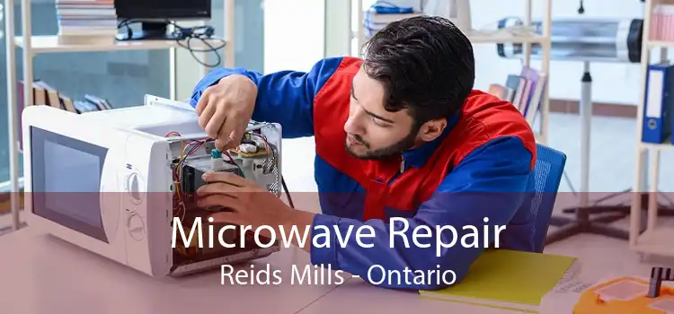 Microwave Repair Reids Mills - Ontario