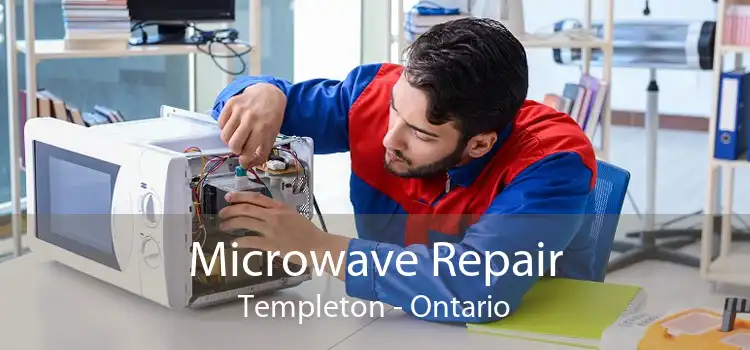 Microwave Repair Templeton - Ontario