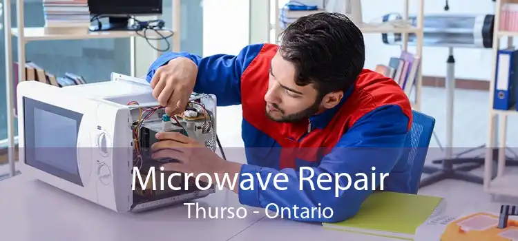 Microwave Repair Thurso - Ontario