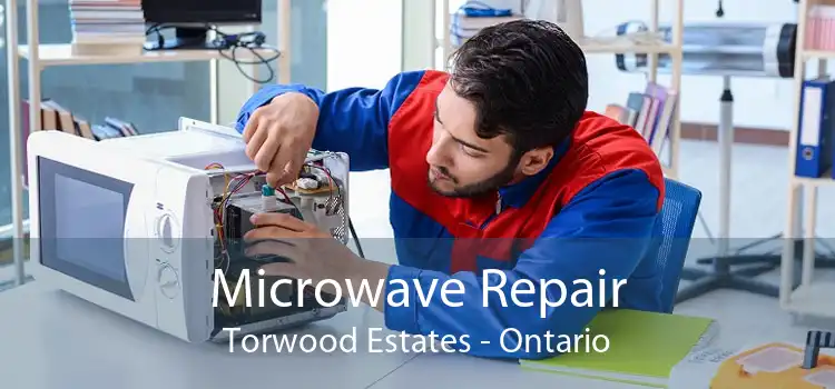 Microwave Repair Torwood Estates - Ontario