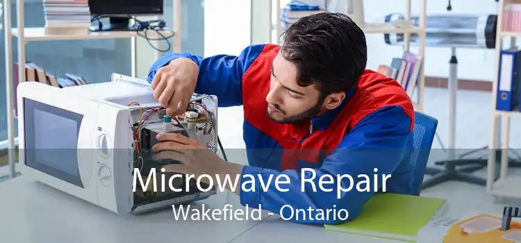 Microwave Repair Wakefield - Ontario