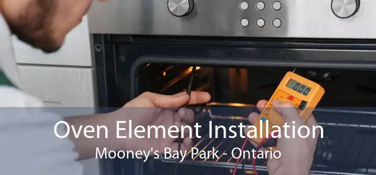 Oven Element Installation Mooney's Bay Park - Ontario