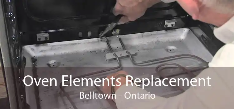 Oven Elements Replacement Belltown - Ontario