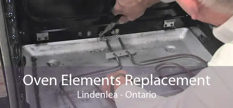 Oven Elements Replacement Lindenlea - Ontario