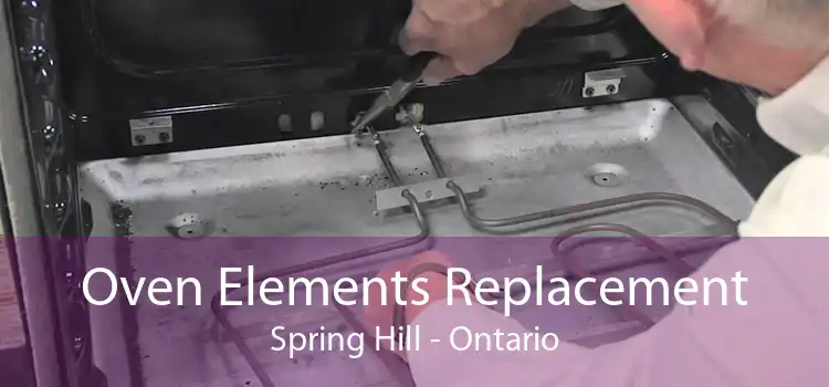 Oven Elements Replacement Spring Hill - Ontario
