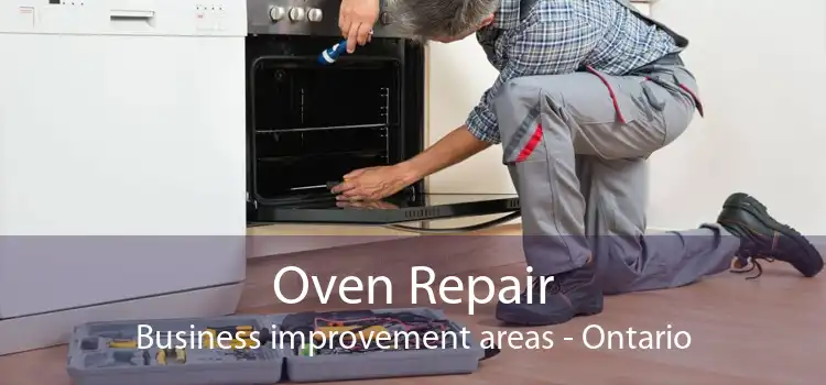 Oven Repair Business improvement areas - Ontario