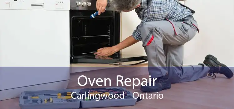 Oven Repair Carlingwood - Ontario