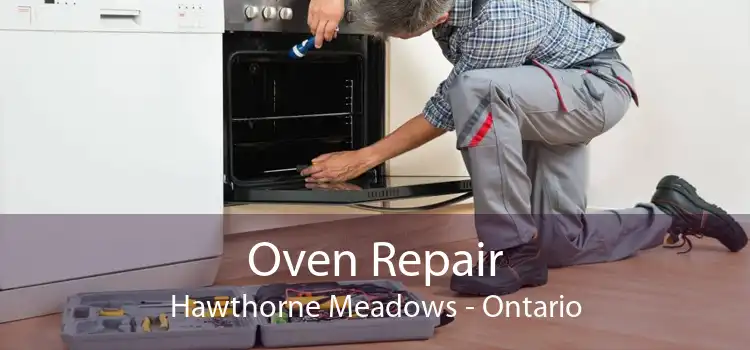 Oven Repair Hawthorne Meadows - Ontario
