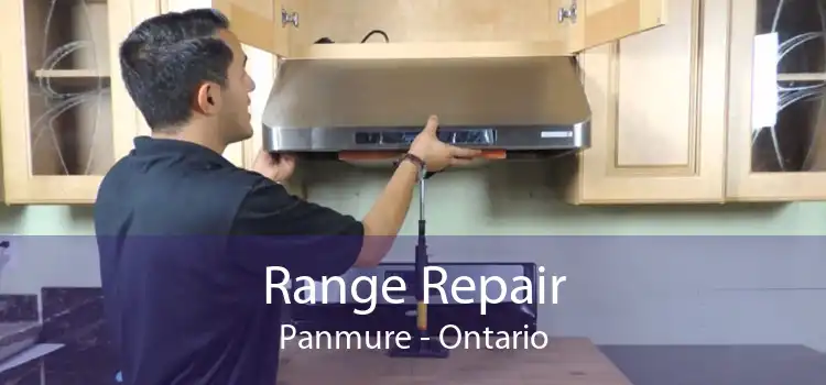 Range Repair Panmure - Ontario