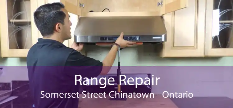 Range Repair Somerset Street Chinatown - Ontario