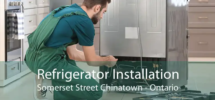 Refrigerator Installation Somerset Street Chinatown - Ontario