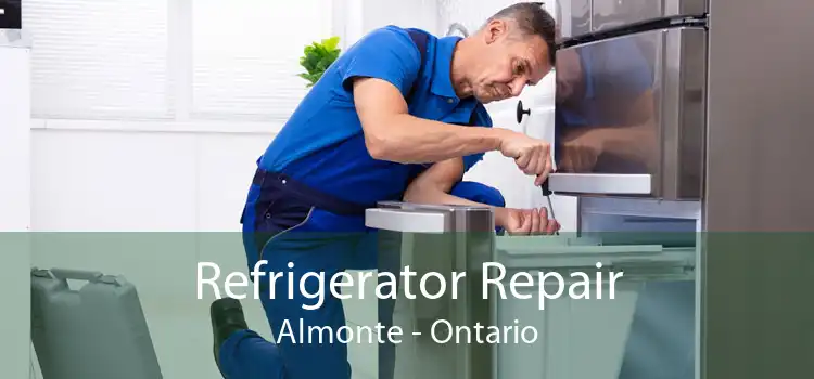 Refrigerator Repair Almonte - Ontario