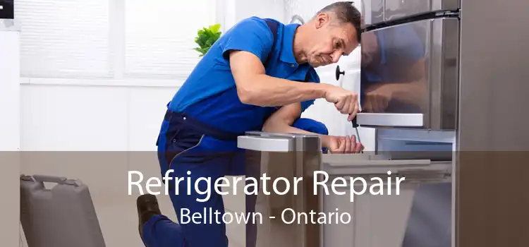 Refrigerator Repair Belltown - Ontario