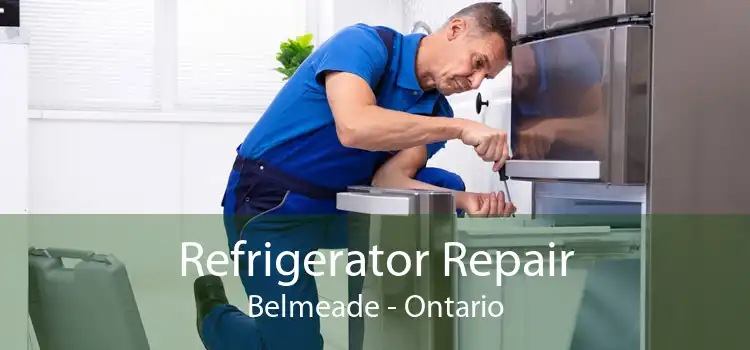 Refrigerator Repair Belmeade - Ontario
