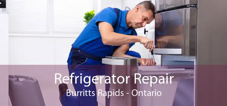Refrigerator Repair Burritts Rapids - Ontario
