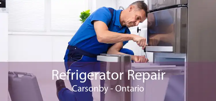 Refrigerator Repair Carsonby - Ontario