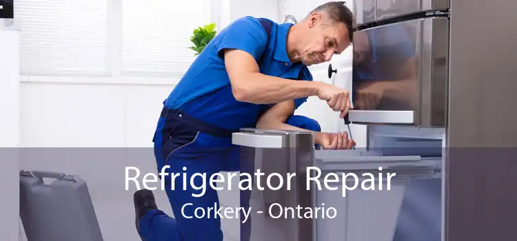 Refrigerator Repair Corkery - Ontario