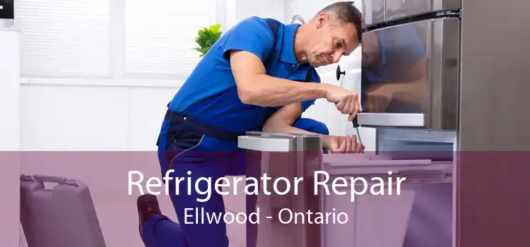 Refrigerator Repair Ellwood - Ontario