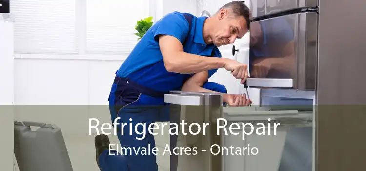 Refrigerator Repair Elmvale Acres - Ontario