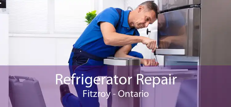 Refrigerator Repair Fitzroy - Ontario