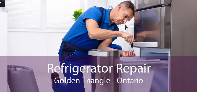 Refrigerator Repair Golden Triangle - Ontario