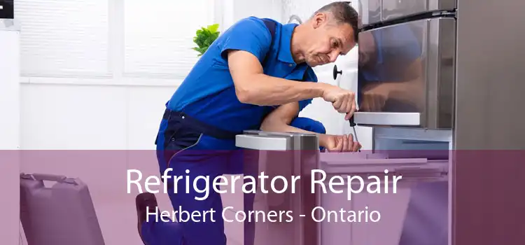 Refrigerator Repair Herbert Corners - Ontario
