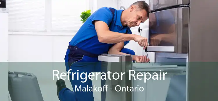 Refrigerator Repair Malakoff - Ontario