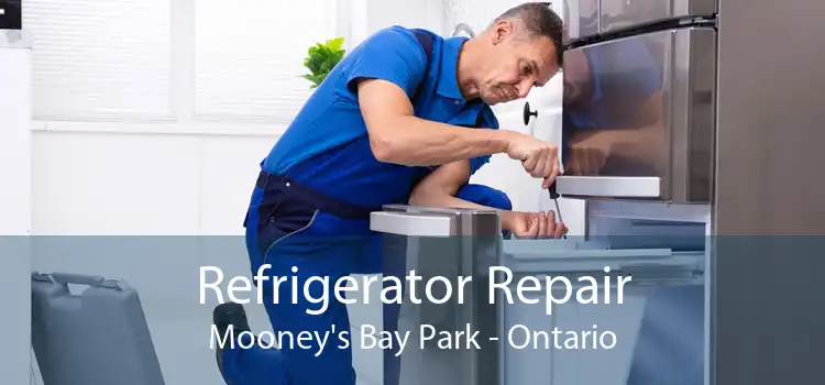 Refrigerator Repair Mooney's Bay Park - Ontario