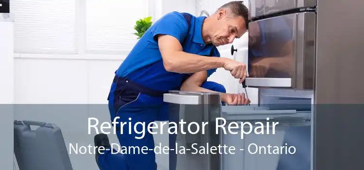 Refrigerator Repair Notre-Dame-de-la-Salette - Ontario