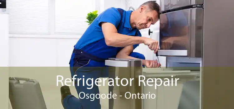 Refrigerator Repair Osgoode - Ontario