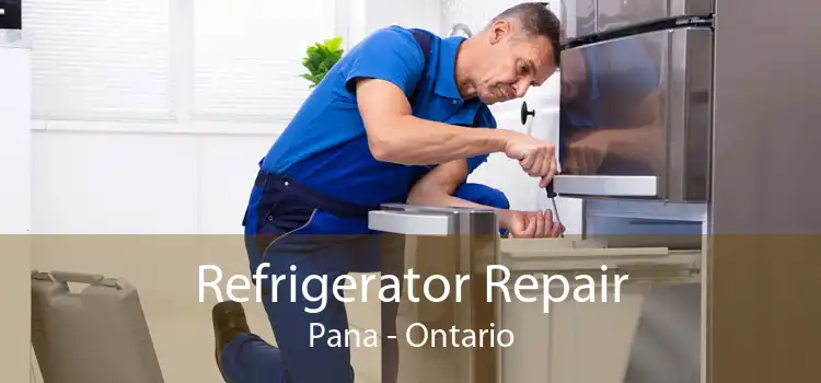 Refrigerator Repair Pana - Ontario