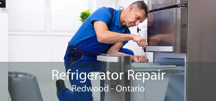 Refrigerator Repair Redwood - Ontario
