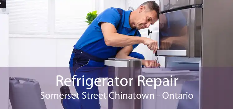 Refrigerator Repair Somerset Street Chinatown - Ontario