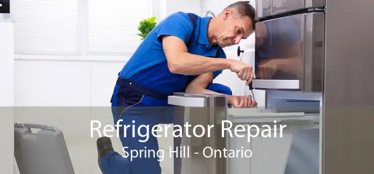 Refrigerator Repair Spring Hill - Ontario