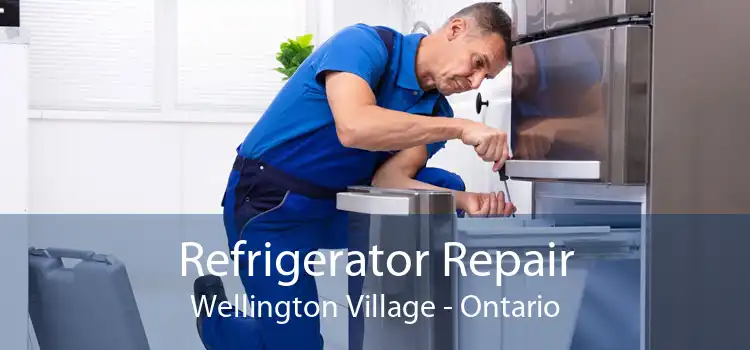 Refrigerator Repair Wellington Village - Ontario