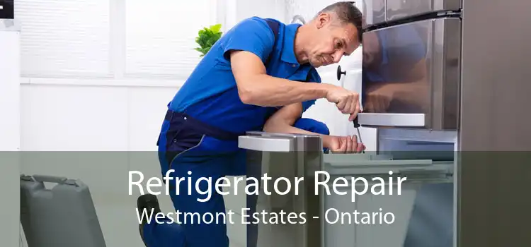 Refrigerator Repair Westmont Estates - Ontario