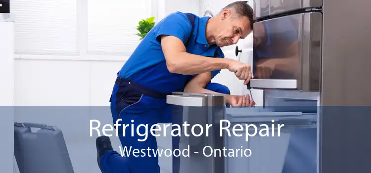 Refrigerator Repair Westwood - Ontario