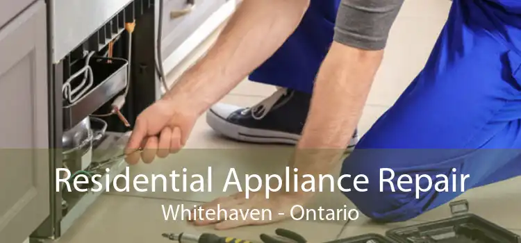 Residential Appliance Repair Whitehaven - Ontario